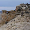 A window hides under the edge of McGath Point Bench.