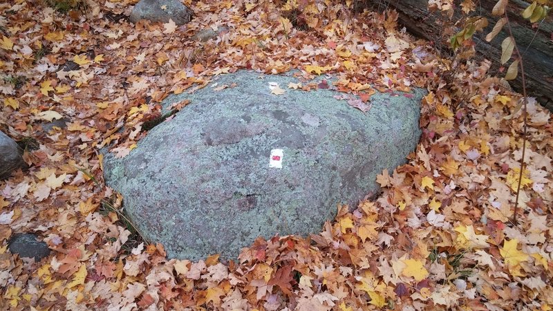 Look for this distinct blaze to mark the Tuxedo - Mt. Ivy trail.