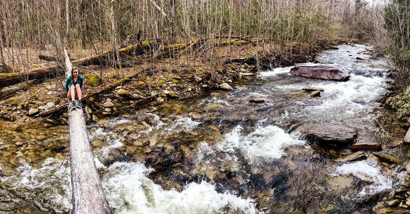 My adventure buddy scoots across a downed tree to bypass one of the many creek crossings.