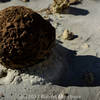 A strange cannonball-like formation sits in the wash along the hike.