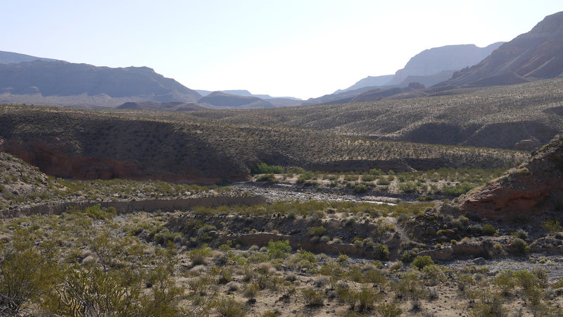 The Virgin River cuts through the landscape near Cedar Pocket.