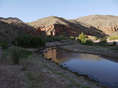 June means decent waterflow in the Virgin River near Cedar Pocket.