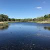 Creekfield Lake glimmers on a beautiful spring day.