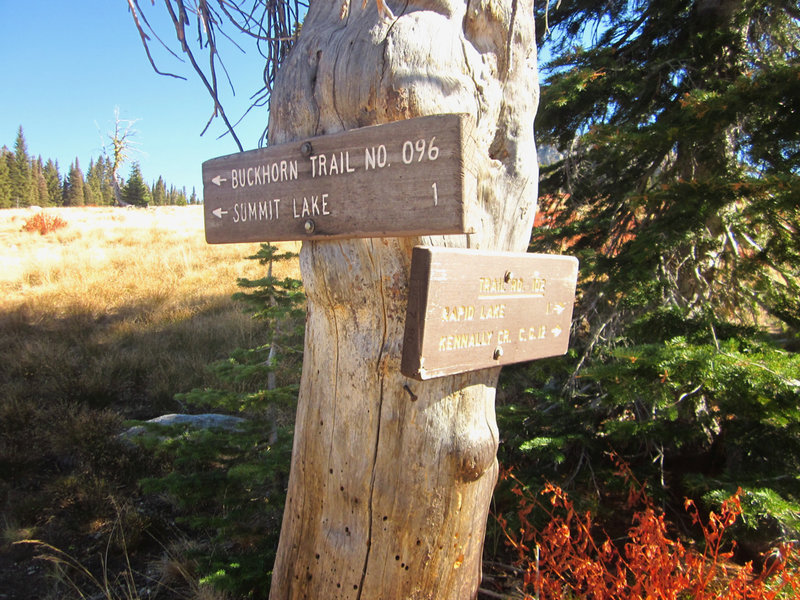 This sign marks the trail junction for the Buckhorn Trail and Kennally Creek Trail.