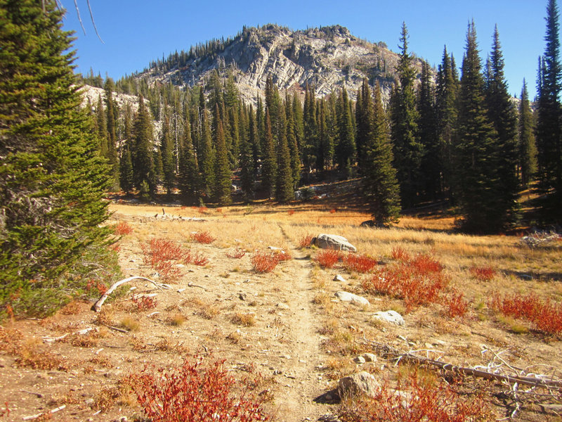 Buckhorn Mountain is beautiful when seen from the Buckhorn Summit trail.