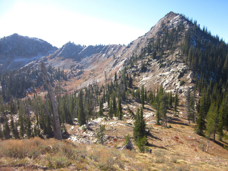 Rapid Peak (8,264') is just to the southwest of Buckhorn Summit.
