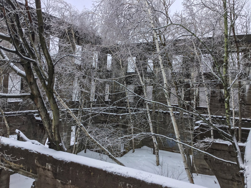 Now only trees are booked in this hotel.