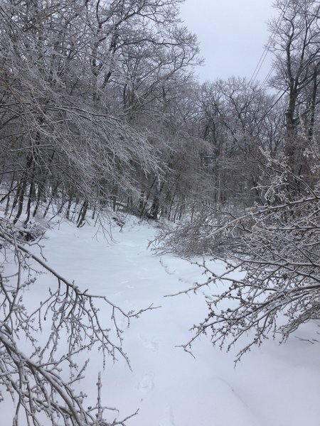 While red blazes mark the trail, in wintertime they can sometimes be hard to see after hard snows.