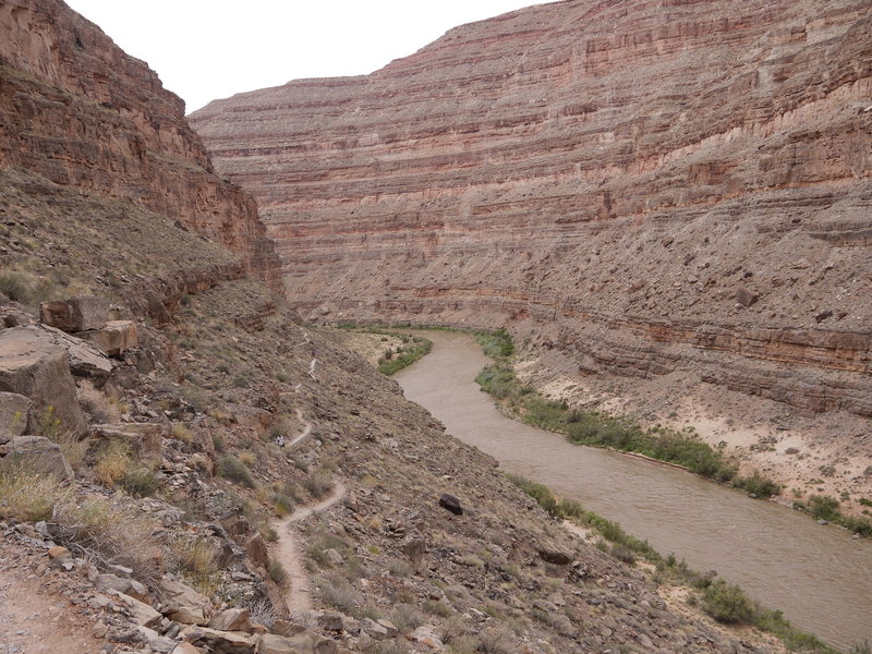 Honaker Trail begins its ascent from the San Juan River.