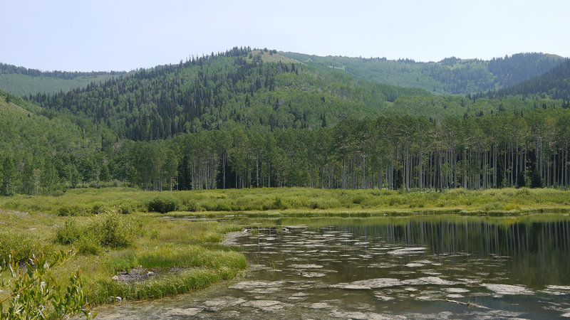 Willow Lake really shines in the summer.