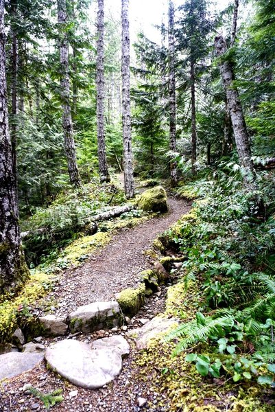 This trail has been expertly built with ample built-in drainage.