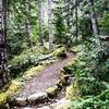 This trail has been expertly built with ample built-in drainage.