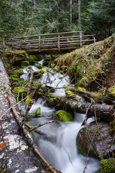 This is just one of the many bridges on this trail.