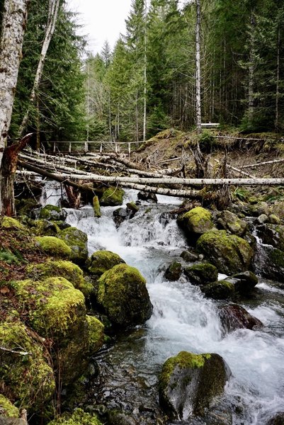 This is another view of the troll-guarded bridge across Skinwood Creek.