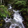 Surely you won't run out of creek scenes on this trail.