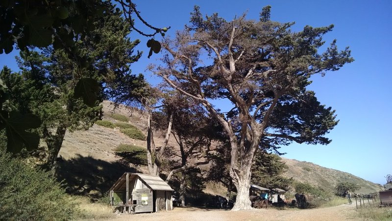 Be sure to check out Scorpion Ranch while on Santa Cruz Island.