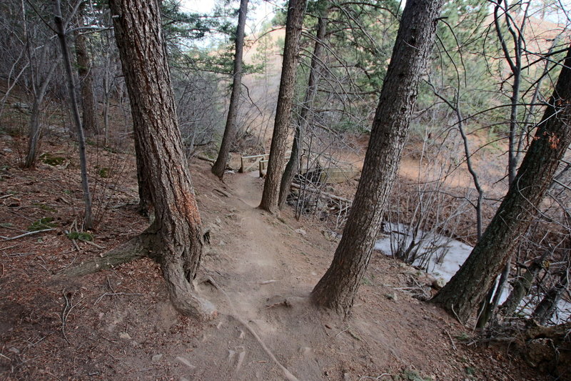 On this trip I was showing my man child a great hike. Enchanted Forest is awesome.