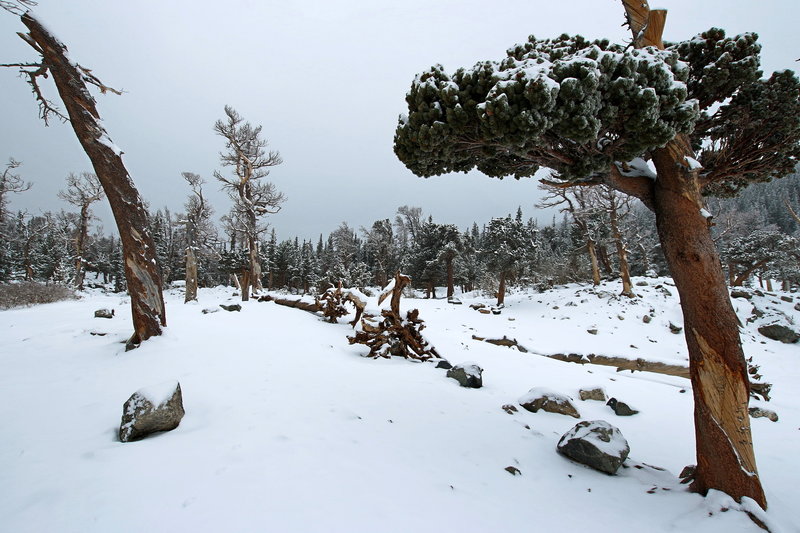 April can still bring heavy snow to St. Mary's Lake.