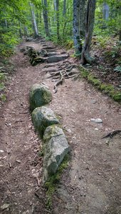 This is pretty typical for the Eagle Cut Trail.