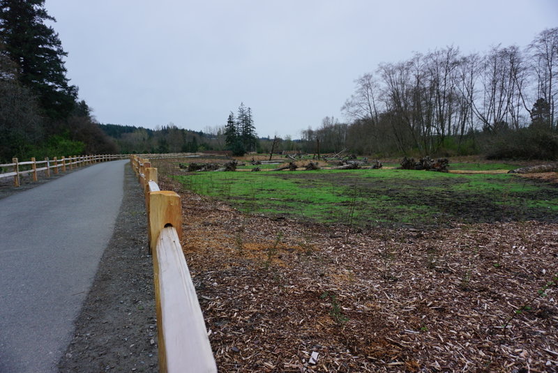 This area is a new addition to the trail.