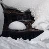 Deadhorse Creek is beautiful covered in snow.