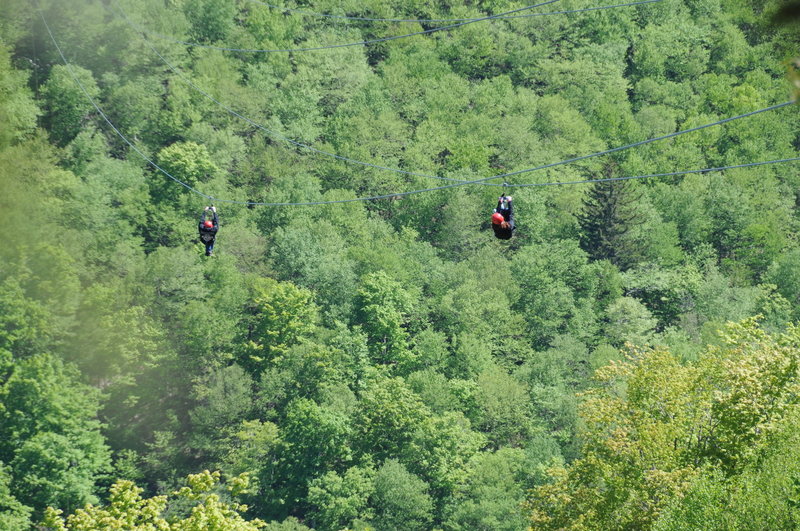 If you've just climbed Hunter Mountain, you might feel a little jealous of the zip liners, as you'll have to hike down instead of zip.