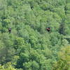 If you've just climbed Hunter Mountain, you might feel a little jealous of the zip liners, as you'll have to hike down instead of zip.