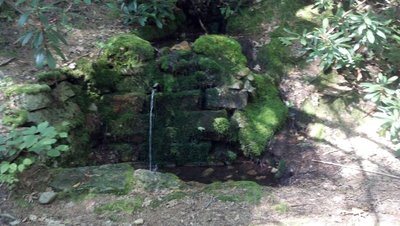 Detweiler Spring is one of two springs in very close proximity to each other. Be sure to fill up your bottles here when you pass through.