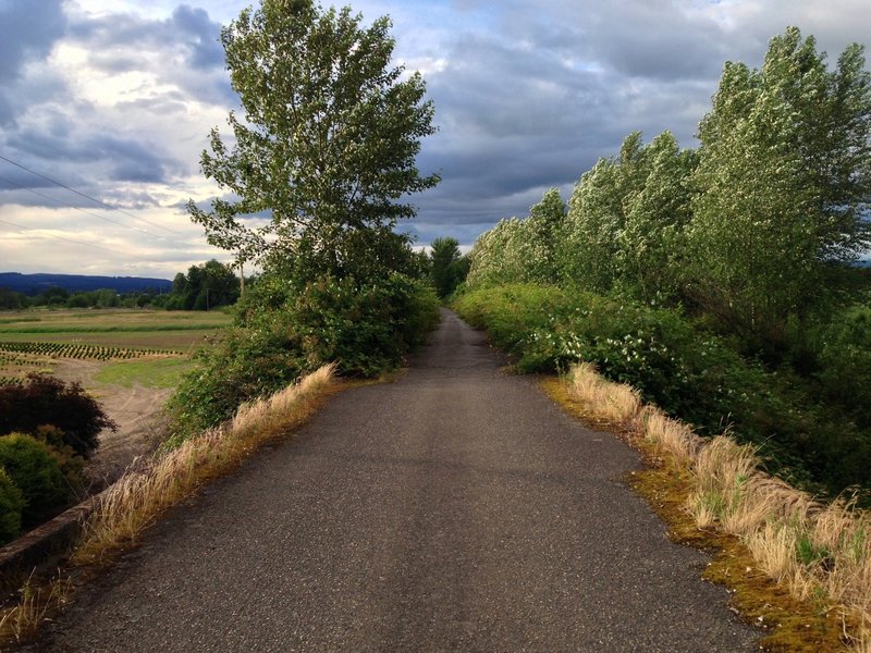 Between Scappoose and Chapman Landing, the Crown Zellerbach Trail crosses over Dike Road on an old logging bridge.