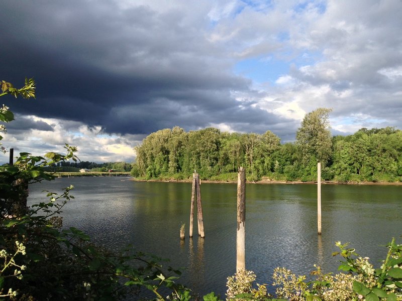 One end of the Crown Zellerbach Trail begins near Multnomah Channel at Chapman Landing.