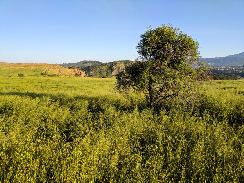 The Mesa Trail is exceptionally beautiful in the evenings.