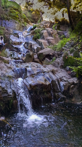 Sycamore Canyon Falls is sublime in the spring.