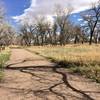 Star K Ranch Loop is a pleasant trail often with deer in the nearby fields.