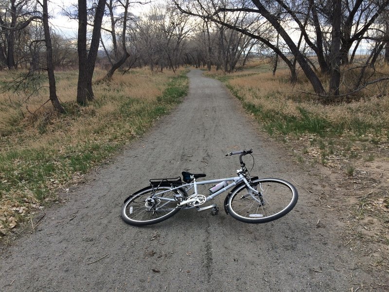 Sand Creek Greenway Trail is made of lightly packed gravel.