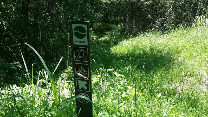 These are the typical trail markers used throughout Goat Island Nature Preserve.