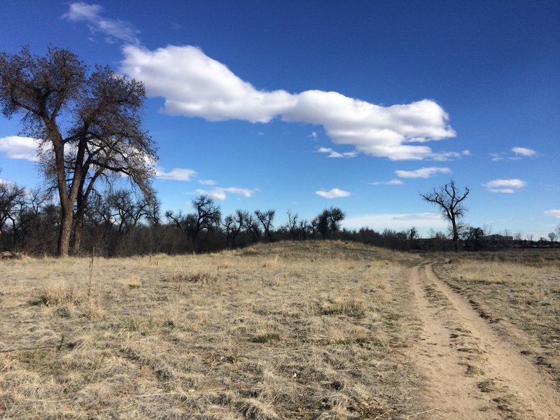 Most of the trails are packed gravel, but this part is just packed sand.