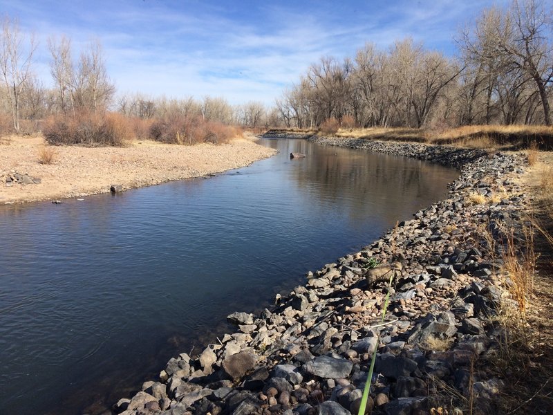 The South Platte River next to the trail.