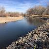 The South Platte River next to the trail.