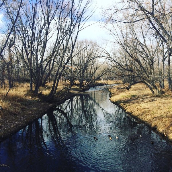 Beautiful shaded trails. Bike and pedestrian paths are separated by the creek.