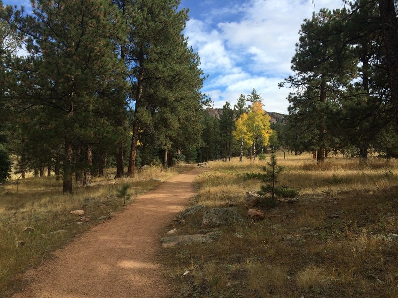 Easy trails with great views.