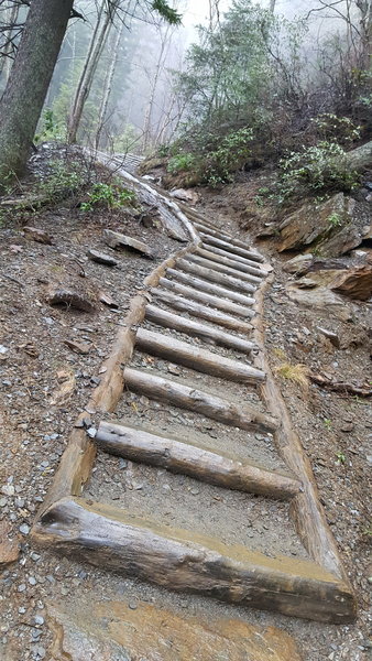 Some portions of the Alum Cave Trail have stairs.