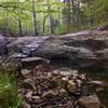 Cedar Falls flows along rounded rocks.