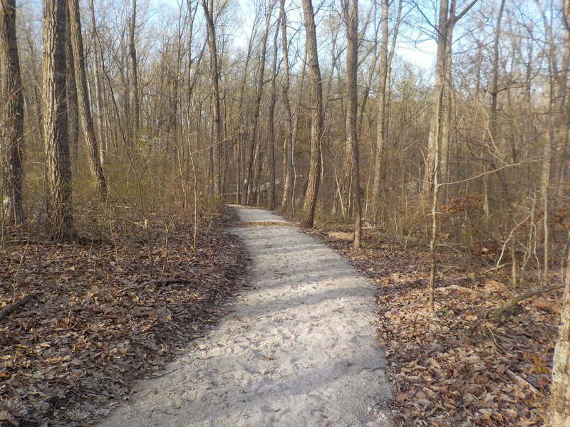 The Raymer Hollow Trail has seen some great new renovations!