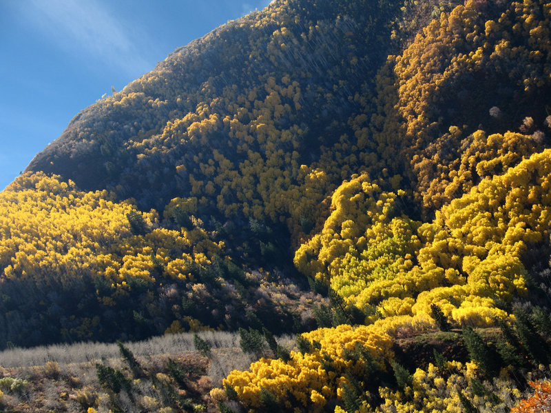 Autumn's Arrow can be viewed from the Mount Aire Trail in Mill Creek Canyon.