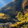 Autumn's Arrow can be viewed from the Mount Aire Trail in Mill Creek Canyon.