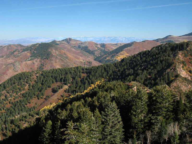 There's a hint of fall in late October looking east from Mt. Aire.