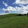 Walking along the bluffs of the Bull Valley Trail, it will feel like you're traversing a giant green ocean.