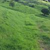 The hills around Port Costa are verdant and lush after heavy winter rains.