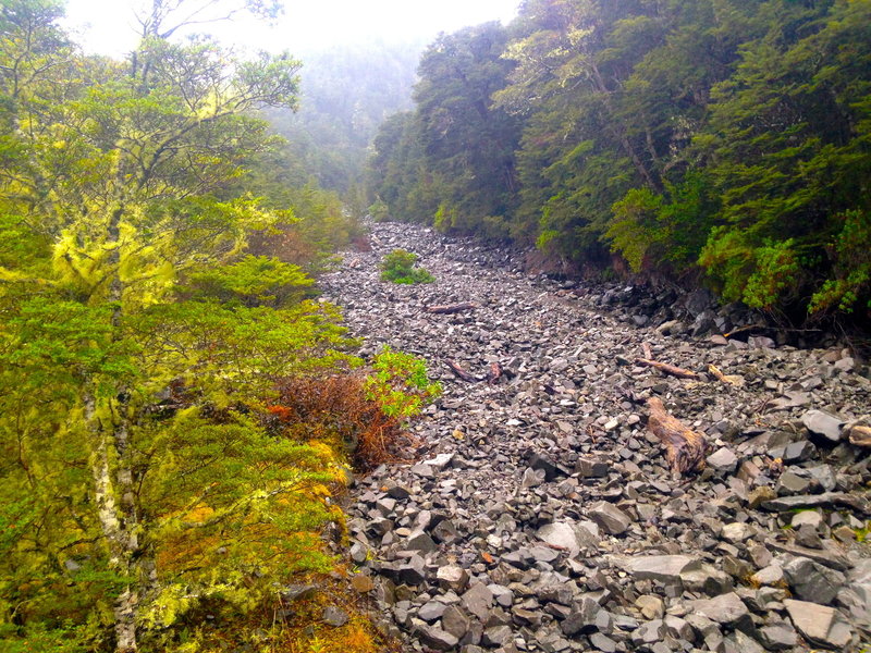 A large rockpile remains as a remnant of an old avalanche.