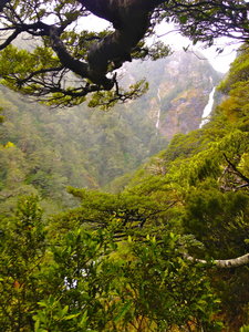 Temperate rainforests dominate this section of the trail.